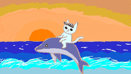 イルカに乗った少年が、エミーに近づいてきました